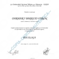 Acercar imagen: certificate 5