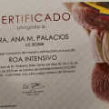 Acercar imagen: certificate 14