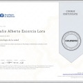 Acercar imagen: certificate 16
