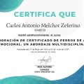 Acercar imagen: certificate 4