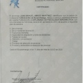 Acercar imagen: certificate 21