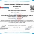 Acercar imagen: certificate 3
