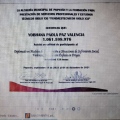 Acercar imagen: certificate 14