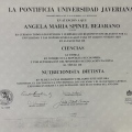 Acercar imagen: certificate 12