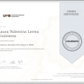Acercar imagen: certificate 2