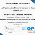 Acercar imagen: certificate 9