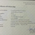 Acercar imagen: certificate 5