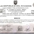 Acercar imagen: certificate 5