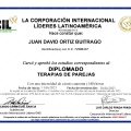 Acercar imagen: certificate 6