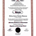 Acercar imagen: certificate 3