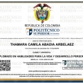 Acercar imagen: certificate 5