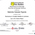 Acercar imagen: certificate 5