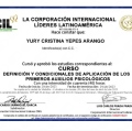 Acercar imagen: certificate 5