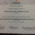 Acercar imagen: certificate 6