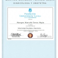 Acercar imagen: certificate 2