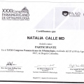 Acercar imagen: certificate 3