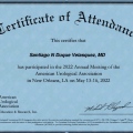 Acercar imagen: certificate 1