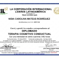 Acercar imagen: certificate 41
