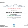 Acercar imagen: certificate 1