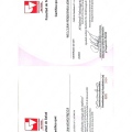 Acercar imagen: certificate 3