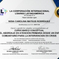 Acercar imagen: certificate 29