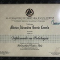 Acercar imagen: certificate 2