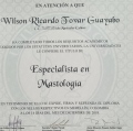 Acercar imagen: certificate 2