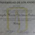 Acercar imagen: certificate 2