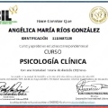 Acercar imagen: certificate 2