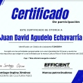 Acercar imagen: certificate 1