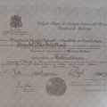 Acercar imagen: certificate 4