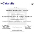Acercar imagen: certificate 4