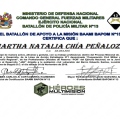 Acercar imagen: certificate 4