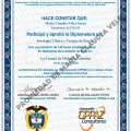 Acercar imagen: certificate 6