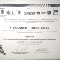 Acercar imagen: certificate 2