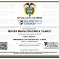Acercar imagen: certificate 6