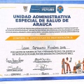 Acercar imagen: certificate 11