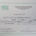 Acercar imagen: certificate 17