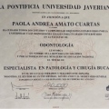 Acercar imagen: certificate 4