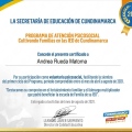 Acercar imagen: certificate 11
