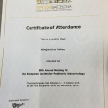 Acercar imagen: certificate 14