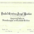 Acercar imagen: certificate 3