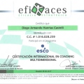 Acercar imagen: certificate 2