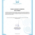 Acercar imagen: certificate 3