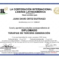 Acercar imagen: certificate 2
