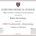 Acercar imagen: certificate 1