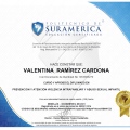Acercar imagen: certificate 2