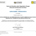 Acercar imagen: certificate 6