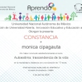 Acercar imagen: certificate 2