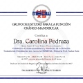 Acercar imagen: certificate 5